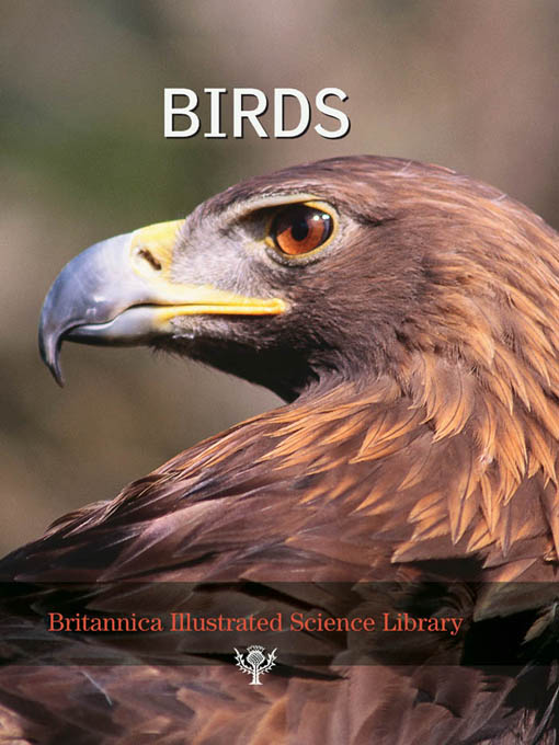 Click image to view full cover